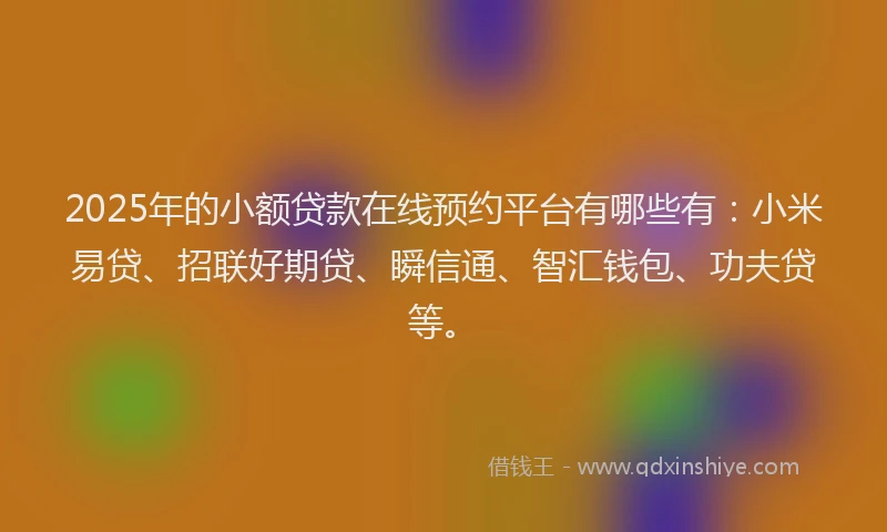 2025年的小额贷款在线预约平台有哪些有：小米易贷、招联好期贷、瞬信通、智汇钱包、功夫贷等。