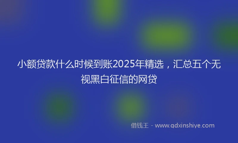 小额贷款什么时候到账2025年精选，汇总五个无视黑白征信的网贷