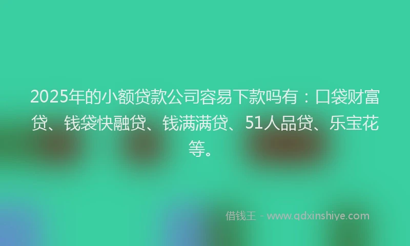2025年的小额贷款公司容易下款吗有：口袋财富贷、钱袋快融贷、钱满满贷、51人品贷、乐宝花等。