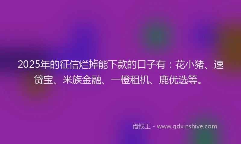 2025年的征信烂掉能下款的口子有：花小猪、速贷宝、米族金融、一橙租机、鹿优选等。