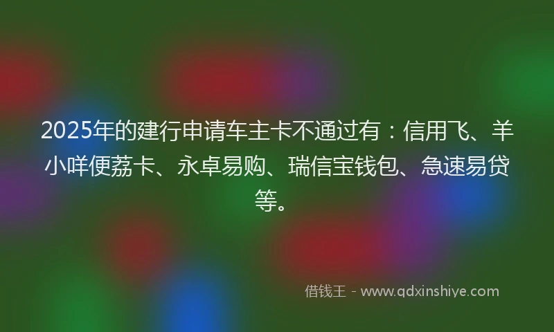 2025年的建行申请车主卡不通过有：信用飞、羊小咩便荔卡、永卓易购、瑞信宝钱包、急速易贷等。