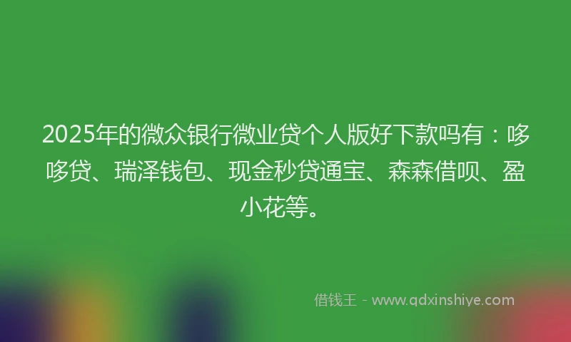 2025年的微众银行微业贷个人版好下款吗有：哆哆贷、瑞泽钱包、现金秒贷通宝、森森借呗、盈小花等。
