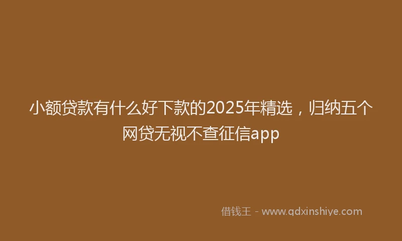 小额贷款有什么好下款的2025年精选，归纳五个网贷无视不查征信app