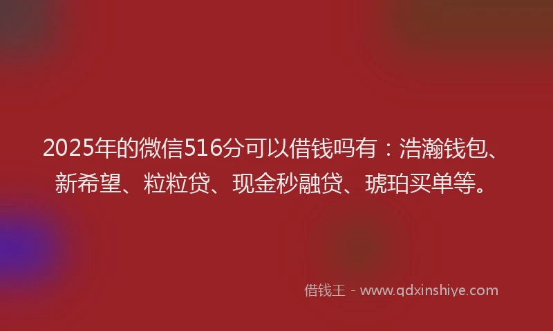 2025年的微信516分可以借钱吗有：浩瀚钱包、新希望、粒粒贷、现金秒融贷、琥珀买单等。