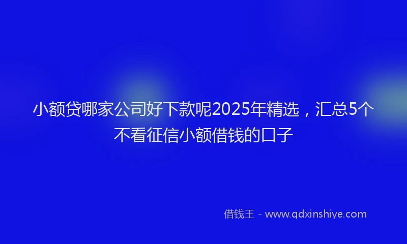 小额贷哪家公司好下款呢2025年精选，汇总5个不看征信小额借钱的口子