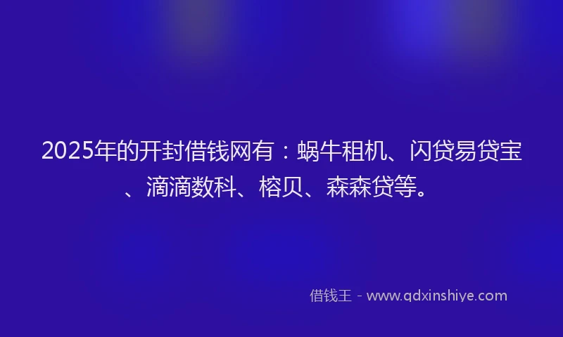 2025年的开封借钱网有：蜗牛租机、闪贷易贷宝、滴滴数科、榕贝、森森贷等。
