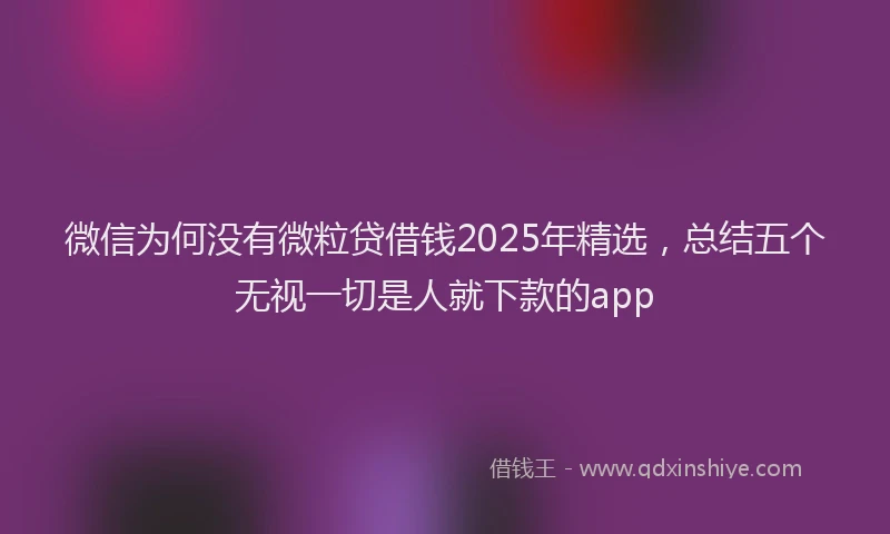 微信为何没有微粒贷借钱2025年精选，总结五个无视一切是人就下款的app