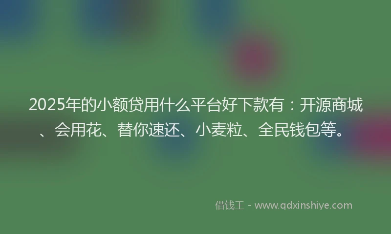 2025年的小额贷用什么平台好下款有：开源商城、会用花、替你速还、小麦粒、全民钱包等。