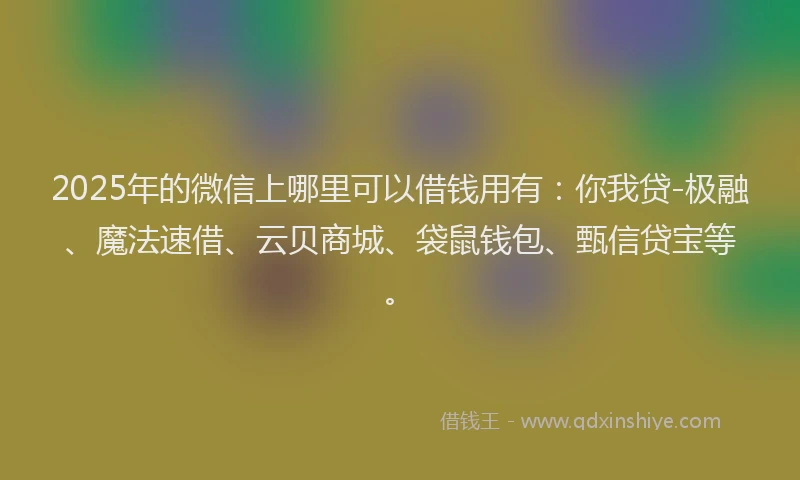 2025年的微信上哪里可以借钱用有：你我贷-极融、魔法速借、云贝商城、袋鼠钱包、甄信贷宝等。