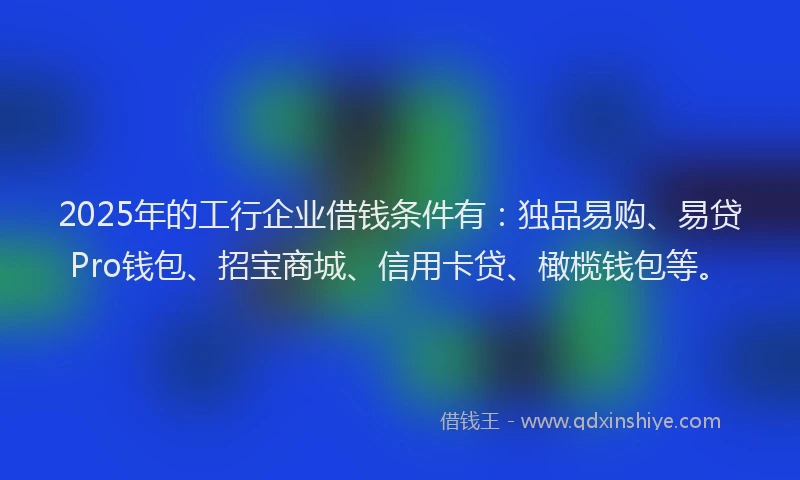 2025年的工行企业借钱条件有：独品易购、易贷Pro钱包、招宝商城、信用卡贷、橄榄钱包等。