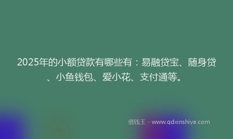 2025年的小额贷款有哪些有：易融贷宝、随身贷、小鱼钱包、爱小花、支付通等。