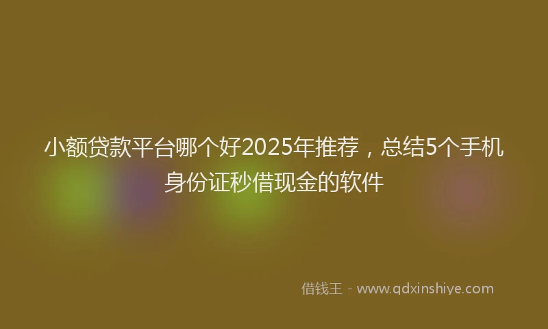 小额贷款平台哪个好2025年推荐，总结5个手机身份证秒借现金的软件