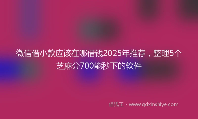 微信借小款应该在哪借钱2025年推荐，整理5个芝麻分700能秒下的软件