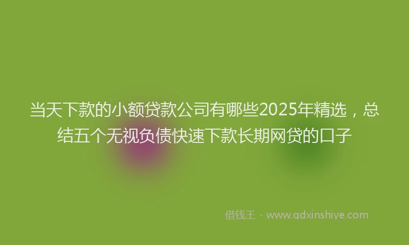 当天下款的小额贷款公司有哪些2025年精选，总结五个无视负债快速下款长期网贷的口子