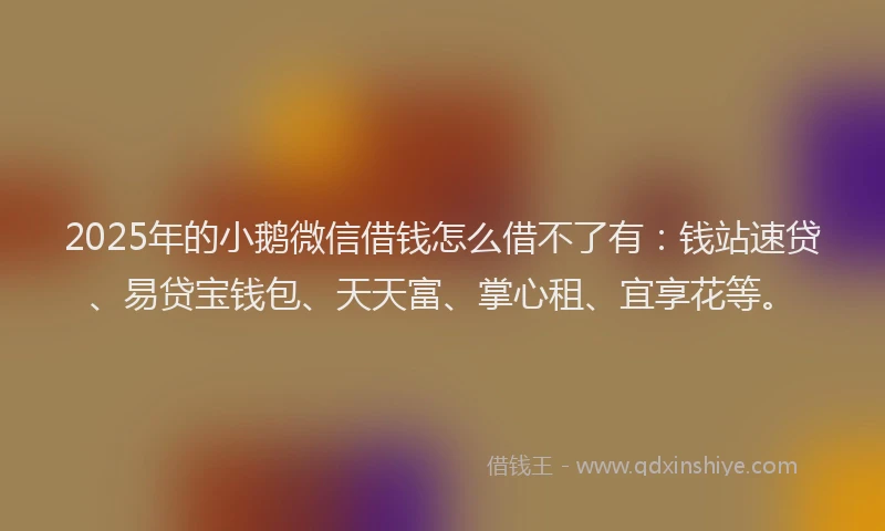 2025年的小鹅微信借钱怎么借不了有：钱站速贷、易贷宝钱包、天天富、掌心租、宜享花等。