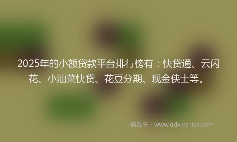 2025年的小额贷款平台排行榜有：快贷通、云闪花、小油菜快贷、花豆分期、现金侠士等。