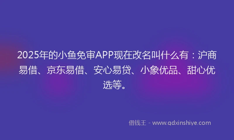 2025年的小鱼免审APP现在改名叫什么有：沪商易借、京东易借、安心易贷、小象优品、甜心优选等。