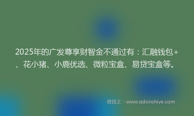 2025年的广发尊享财智金不通过有：汇融钱包+、花小猪、小鹿优选、微粒宝盒、易贷宝盒等。