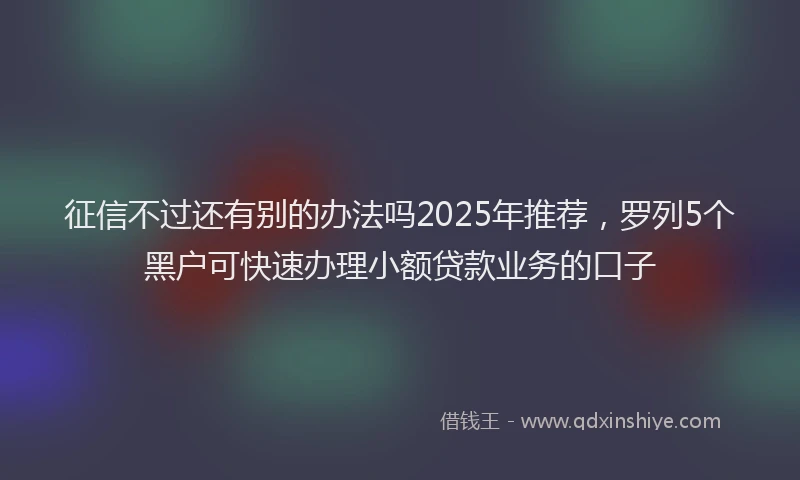 征信不过还有别的办法吗2025年推荐，罗列5个黑户可快速办理小额贷款业务的口子