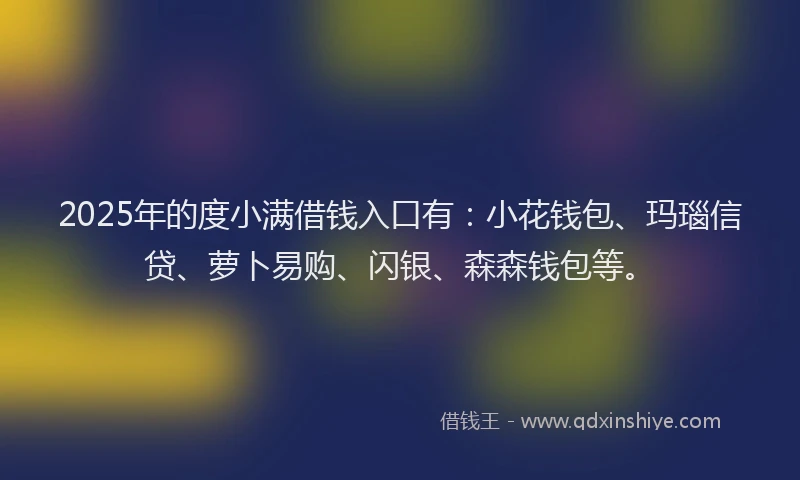 2025年的度小满借钱入口有：小花钱包、玛瑙信贷、萝卜易购、闪银、森森钱包等。