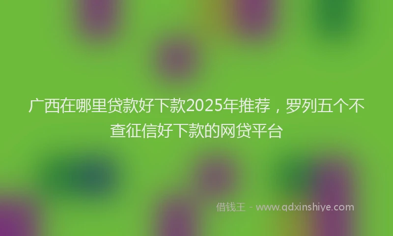 广西在哪里贷款好下款2025年推荐，罗列五个不查征信好下款的网贷平台