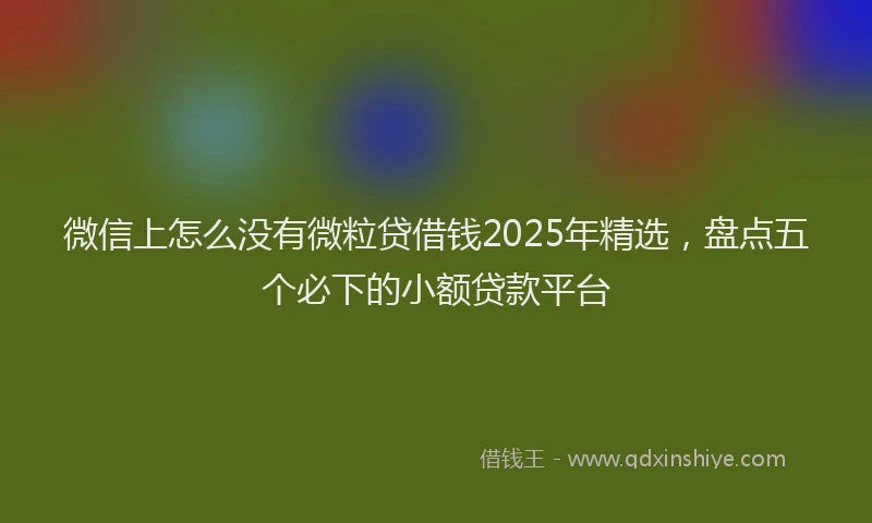 微信上怎么没有微粒贷借钱2025年精选，盘点五个必下的小额贷款平台