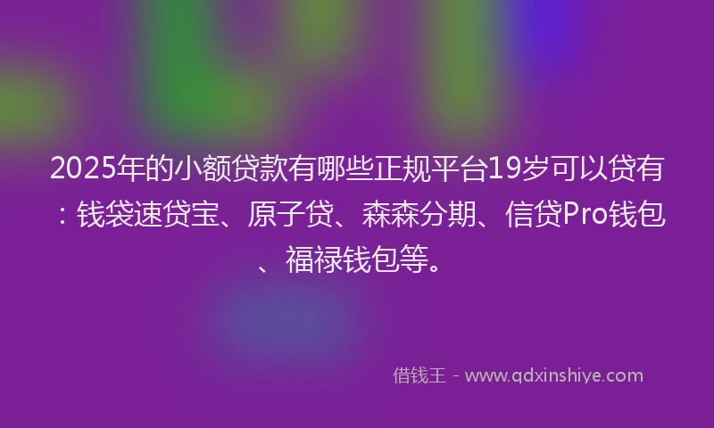 2025年的小额贷款有哪些正规平台19岁可以贷有：钱袋速贷宝、原子贷、森森分期、信贷Pro钱包、福禄钱包等。
