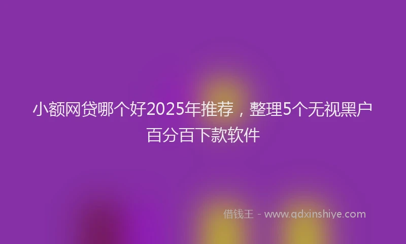 小额网贷哪个好2025年推荐，整理5个无视黑户百分百下款软件