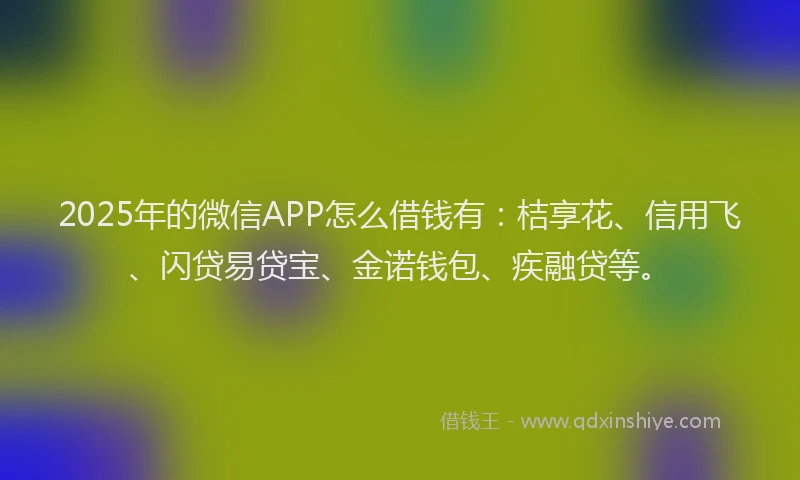 2025年的微信APP怎么借钱有：桔享花、信用飞、闪贷易贷宝、金诺钱包、疾融贷等。
