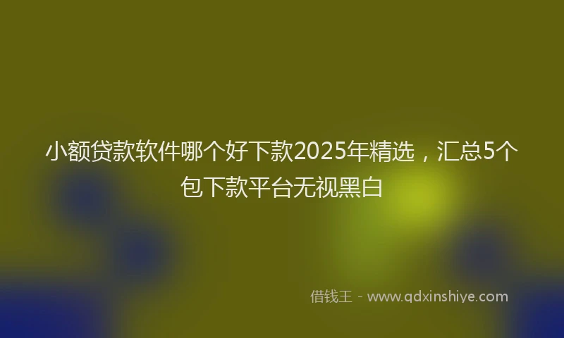 小额贷款软件哪个好下款2025年精选，汇总5个包下款平台无视黑白