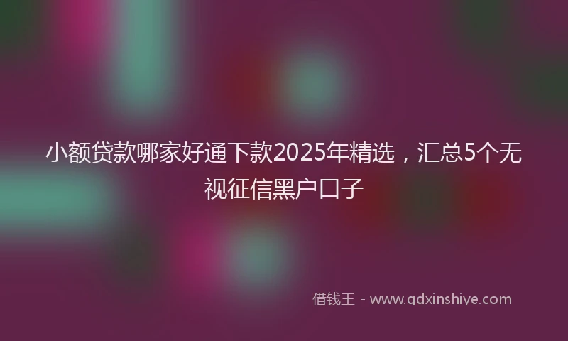 小额贷款哪家好通下款2025年精选，汇总5个无视征信黑户口子