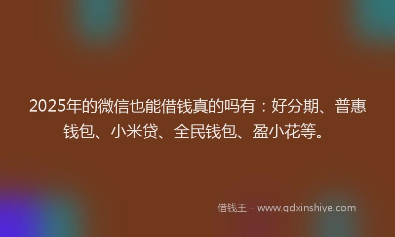 2025年的微信也能借钱真的吗有：好分期、普惠钱包、小米贷、全民钱包、盈小花等。