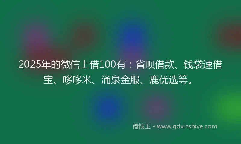 2025年的微信上借100有：省呗借款、钱袋速借宝、哆哆米、涌泉金服、鹿优选等。