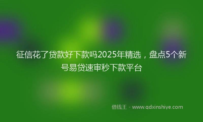 征信花了贷款好下款吗2025年精选，盘点5个新号易贷速审秒下款平台