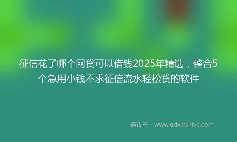 征信花了哪个网贷可以借钱2025年精选，整合5个急用小钱不求征信流水轻松贷的软件