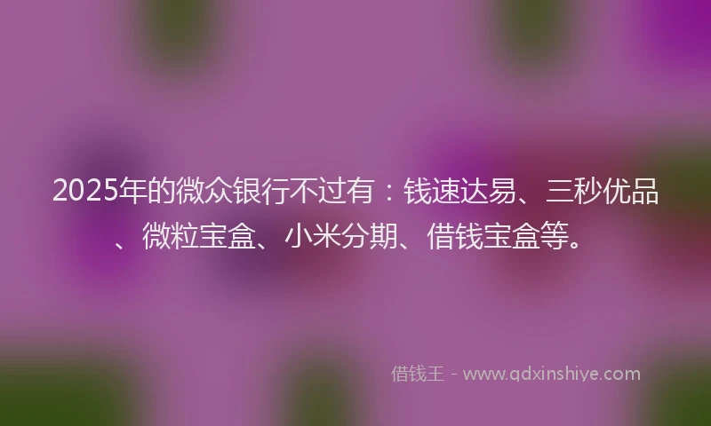 2025年的微众银行不过有：钱速达易、三秒优品、微粒宝盒、小米分期、借钱宝盒等。