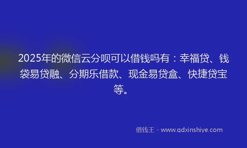 2025年的微信云分呗可以借钱吗有：幸福贷、钱袋易贷融、分期乐借款、现金易贷盒、快捷贷宝等。