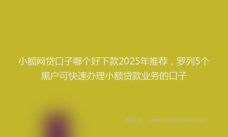 小额网贷口子哪个好下款2025年推荐，罗列5个黑户可快速办理小额贷款业务的口子
