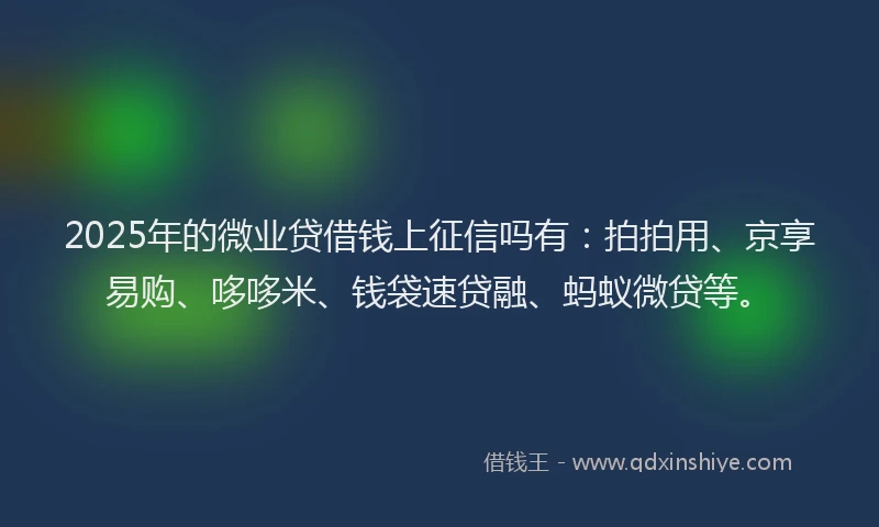 2025年的微业贷借钱上征信吗有：拍拍用、京享易购、哆哆米、钱袋速贷融、蚂蚁微贷等。