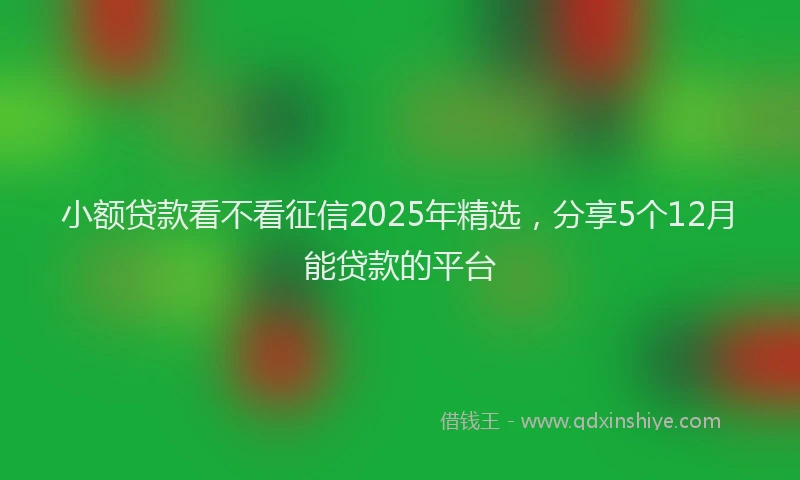 小额贷款看不看征信2025年精选，分享5个12月能贷款的平台