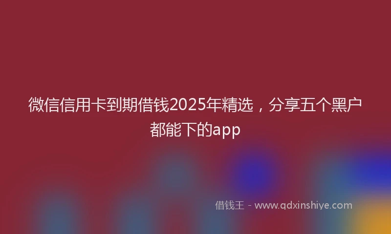 微信信用卡到期借钱2025年精选，分享五个黑户都能下的app