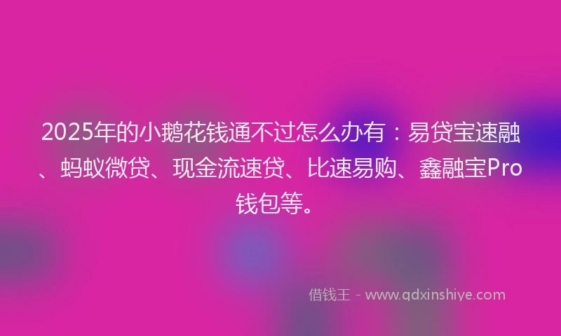 2025年的小鹅花钱通不过怎么办有：易贷宝速融、蚂蚁微贷、现金流速贷、比速易购、鑫融宝Pro钱包等。