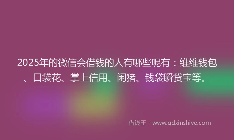 2025年的微信会借钱的人有哪些呢有：维维钱包、口袋花、掌上信用、闲猪、钱袋瞬贷宝等。