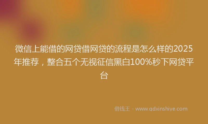 微信上能借的网贷借网贷的流程是怎么样的2025年推荐，整合五个无视征信黑白100%秒下网贷平台