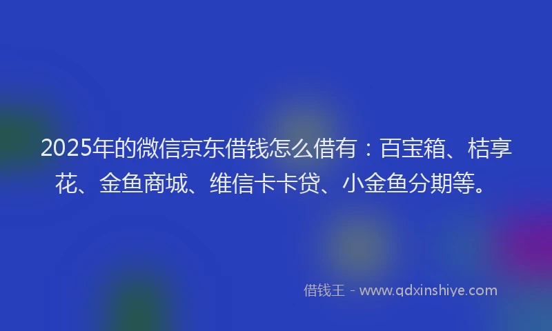 2025年的微信京东借钱怎么借有：百宝箱、桔享花、金鱼商城、维信卡卡贷、小金鱼分期等。
