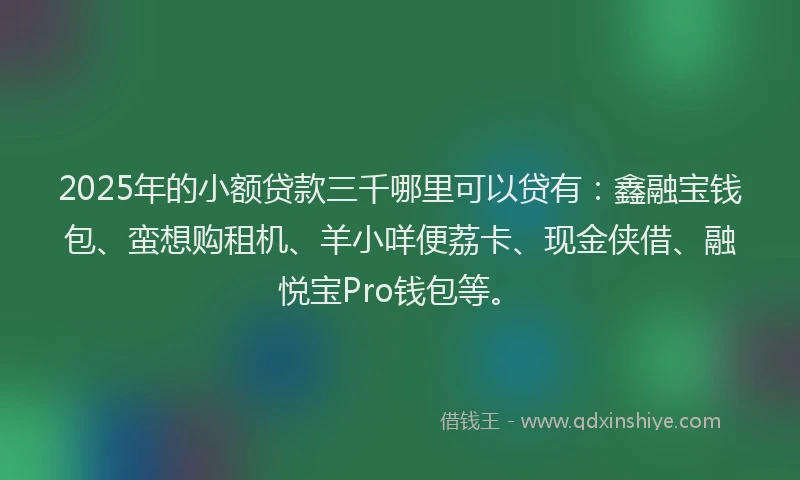 2025年的小额贷款三千哪里可以贷有：鑫融宝钱包、蛮想购租机、羊小咩便荔卡、现金侠借、融悦宝Pro钱包等。
