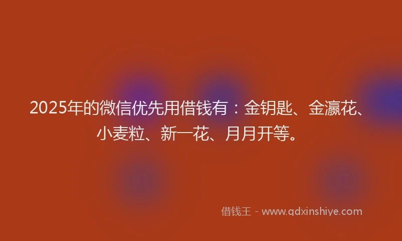 2025年的微信优先用借钱有：金钥匙、金瀛花、小麦粒、新一花、月月开等。