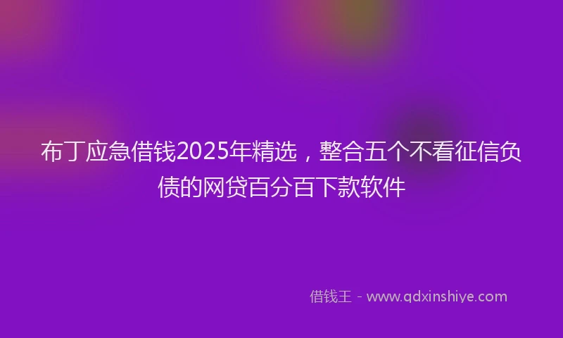 布丁应急借钱2025年精选，整合五个不看征信负债的网贷百分百下款软件