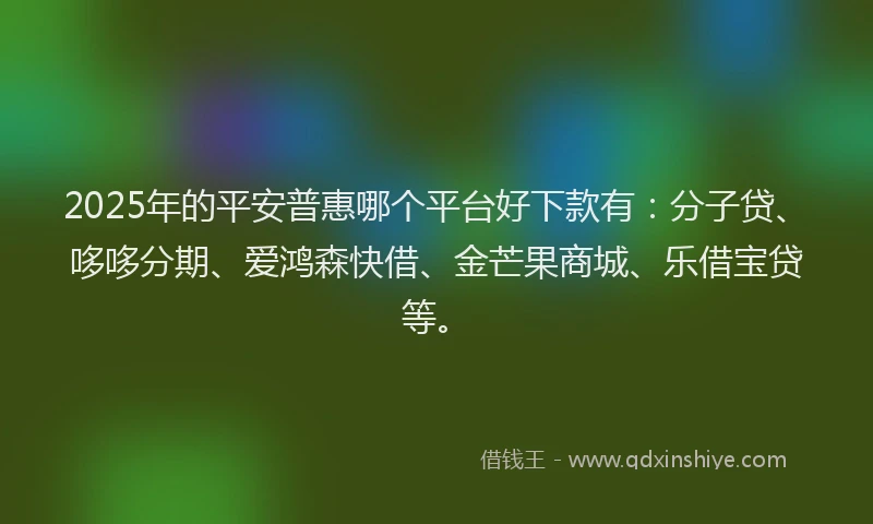 2025年的平安普惠哪个平台好下款有：分子贷、哆哆分期、爱鸿森快借、金芒果商城、乐借宝贷等。