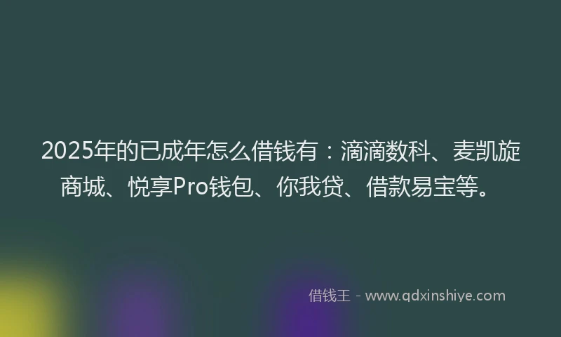 2025年的已成年怎么借钱有：滴滴数科、麦凯旋商城、悦享Pro钱包、你我贷、借款易宝等。